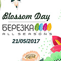 Встроенные пылесосы в Воронеже